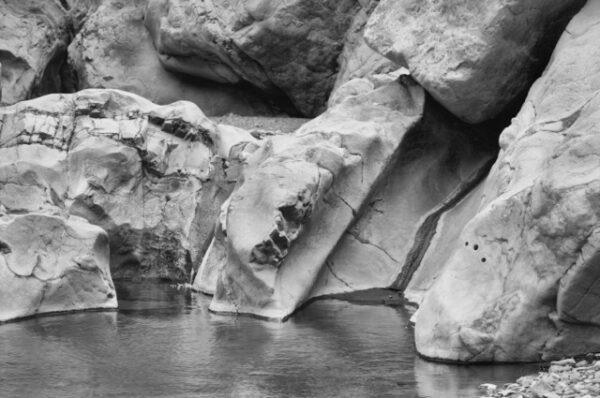 Michael Dohle - #89.03