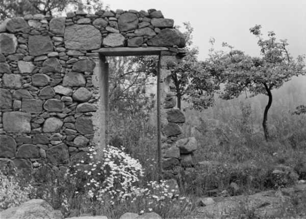 Michael Dohle - #93.10