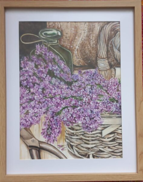 Nadiia Sukhova - Provence