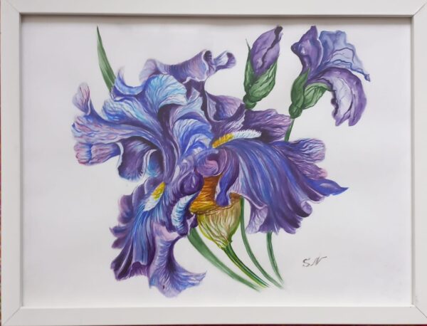 Nadiia Sukhova - Iris